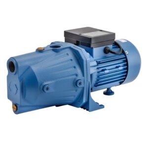 Bomba Centrifuga Autoaspirante BF100 Motorarg