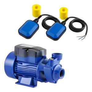 Bomba Periférica Elevadora 1/2Hp Con 2 Automáticos Vasser