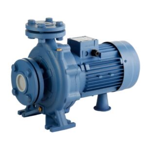 Bomba Centrifuga Industrial Normalizada Linea BCB Motorarg